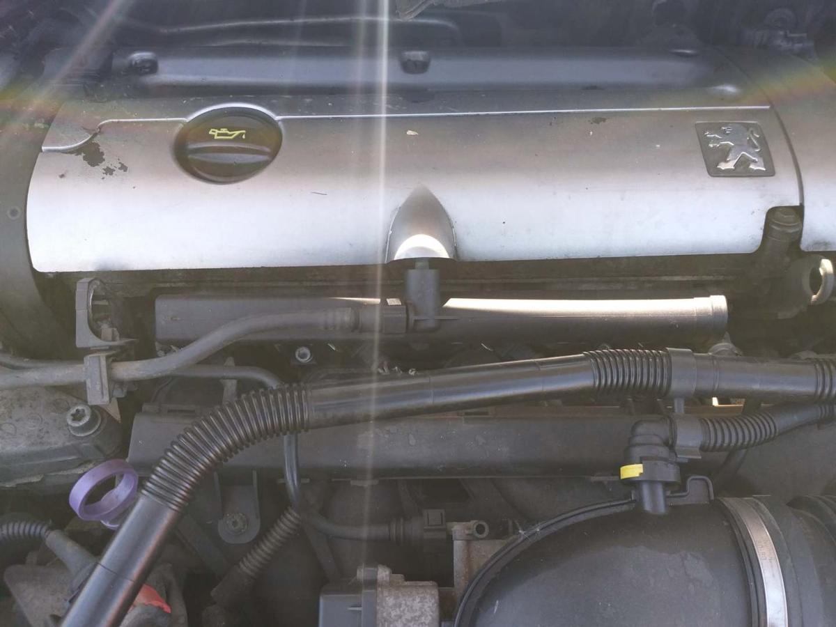 Peugeot 307 original Motor RFN 2,0 100KW funktionsgeprüft Bj.2004
